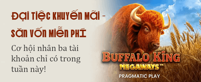 Trải nghiệm Zodiac Casino trực tuyến